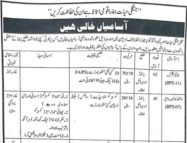 kpk jobs