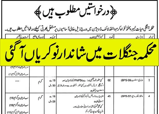 Jobs in Forest Department kpk 01