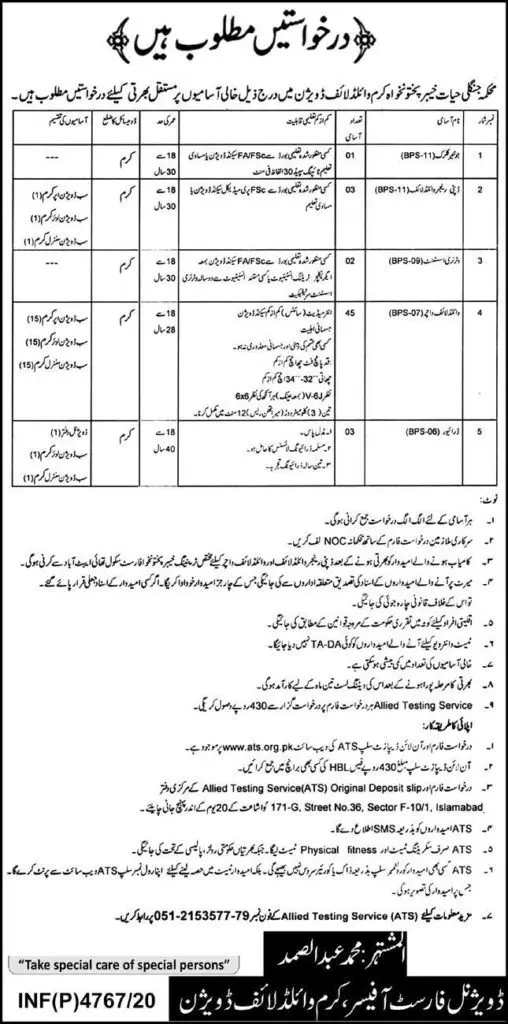 jobs in pakistan