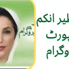 BISP Eligibility