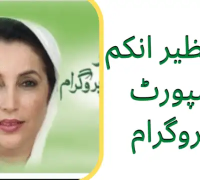 BISP Eligibility