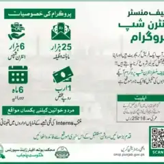 چیف منسٹر انٹرنشپ پروگرام