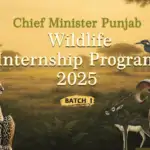 چیف منسٹر پنجاب وائلڈ لائف انٹرن شپ پروگرام 2025